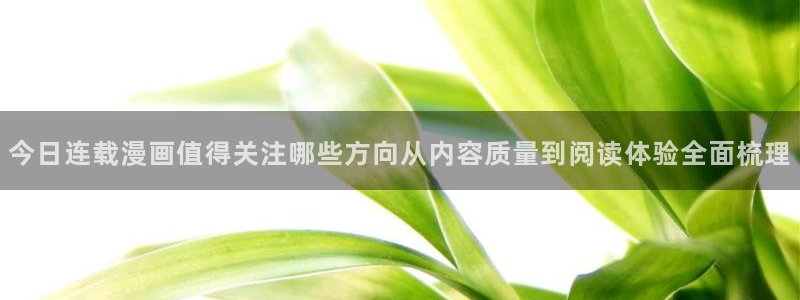 羞羞漫画在线漫画大全:今日连载漫画值得关注哪些方向从内容质量到阅读体验全面梳理