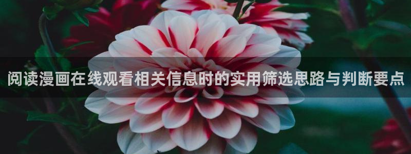 羞羞漫画漫画搜索:阅读漫画在线观看相关信息时的实用筛选思路与判断要点