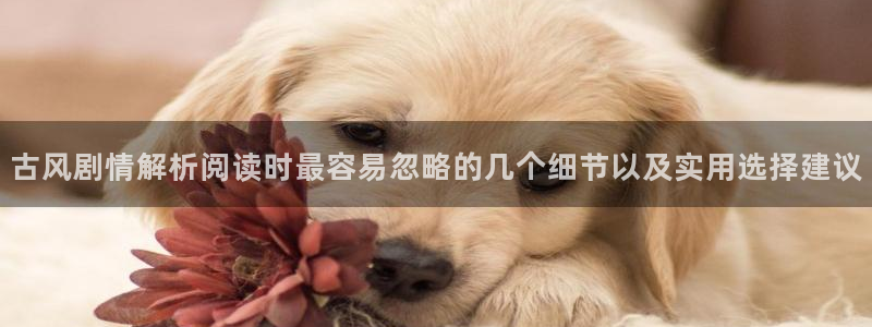 羞羞漫画免费网站大全：古风剧情解析阅读时最容易忽略的几个细节以及实用选择建议